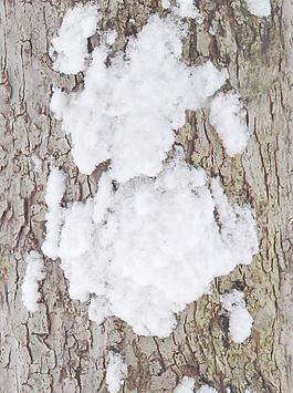30442_自然材质_冰雪