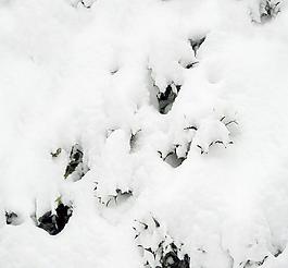 30459_自然材质_冰雪