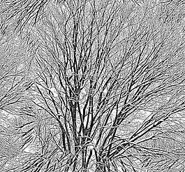 30468_自然材质_冰雪