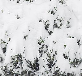 30471_自然材质_冰雪