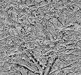 30476_自然材质_冰雪