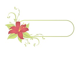 花框