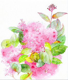 位图 植物图案 写意花卉 花朵 丁香花 免费素材