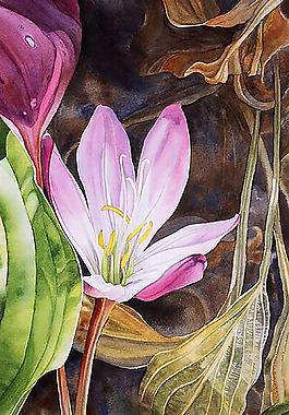 位图 植物图案 写意花卉 花朵 水仙花 免费素材