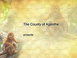 猴子动物ppt模板