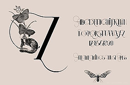 位图 文字 英文 英文字母 人物 免费素材