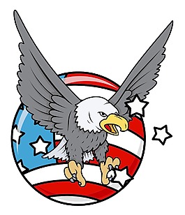 鹰旗美国爱国的设计