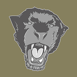 印花矢量图 动物 老虎 老虎头 男装 免费素材