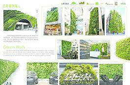 泛美植物墙