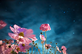 位图 插画 时尚插画 风景插画 免费素材