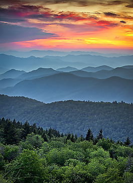 位图 插画 时尚插画 风景插画 免费素材