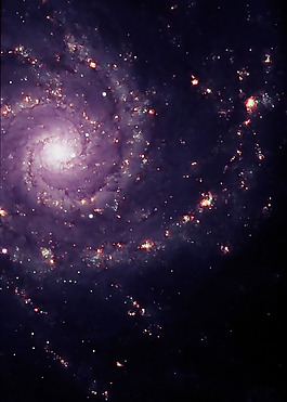 位图 插画 时尚插画 风景插画 免费素材