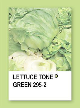 绿色生菜色调彩色样本设计