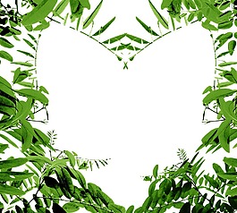 爱心 花卉 简约