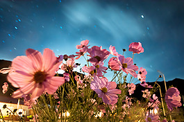 位图 插画 时尚插画 风景插画 免费素材