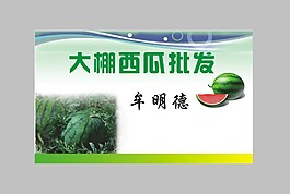 大棚西瓜批发名片