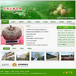 绿色食品企业模版