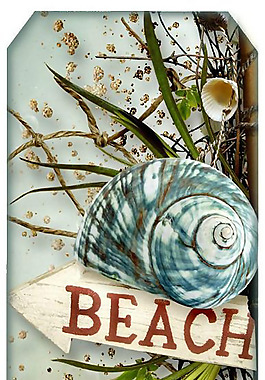 吊牌 植物 树 贝壳 文字 免费素材