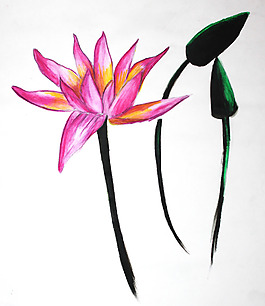 位图 植物 写意花卉 花朵 荷花 免费素材