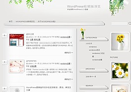 博客主题