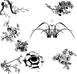 白描花图片 白描花素材 白描花模板免费下载 六图网