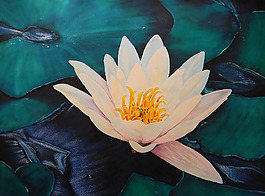 位图 植物 写意花卉 花朵 荷花 免费素材