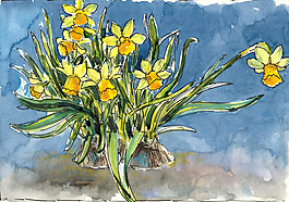 位图 植物 写意花卉 花朵 水仙 免费素材