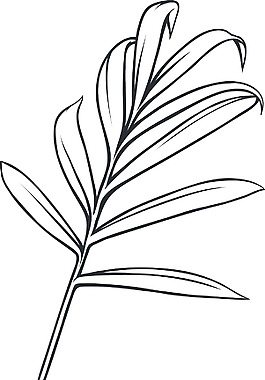 向量的热带植物