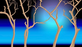 死树的夜间背景