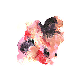 位图 插画师 时尚插画 插画师 Michael 免费素材
