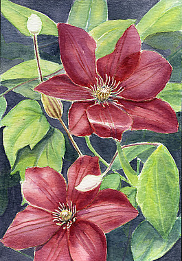 位图 植物 写意花卉 花朵 荷花 免费素材