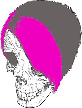 EMO颅骨矢量元素