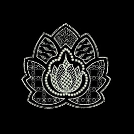 绣花 蕾丝 佩斯利 免费素材