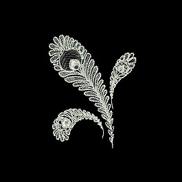 绣花 蕾丝 佩斯利 免费素材