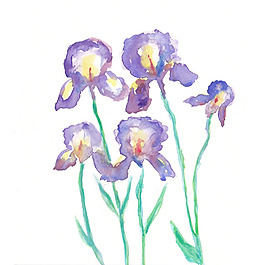 位图 植物 写意花卉 花朵 鸢尾 免费素材