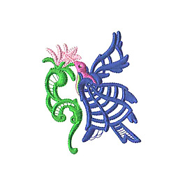 绣花 动物 小鸟 花纹 抽象花纹 免费素材
