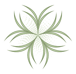 荣星设计