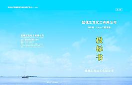 投标书