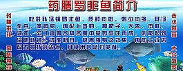 美食招牌图片