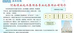 河南煤业化工集团专业化集团