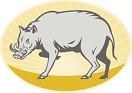 野猪野猪的攻击