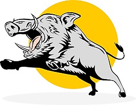 野猪野猪跳