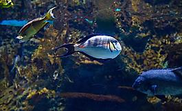 北京海洋馆图片