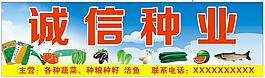 种业店招