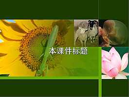中学生物
