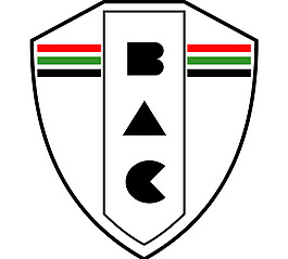Baiano Atletico Clube de Salvador-BA logo设计欣赏 Baiano Atletico Clube de Salvador-BA下载标志设计欣赏