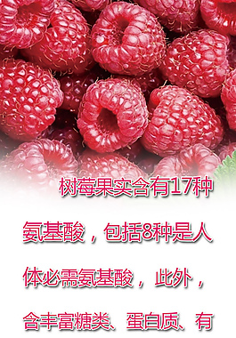 树莓