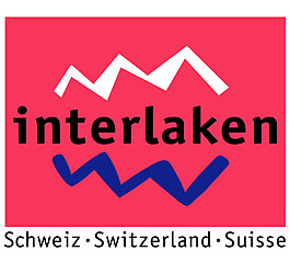 Interlaken logo设计欣赏 IT公司标志案例 - Interlaken下载标志设计欣赏