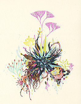 插画 插画师 Yellena James 澳洲 免费素材