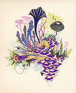 插画 插画师 Yellena James 澳洲 免费素材